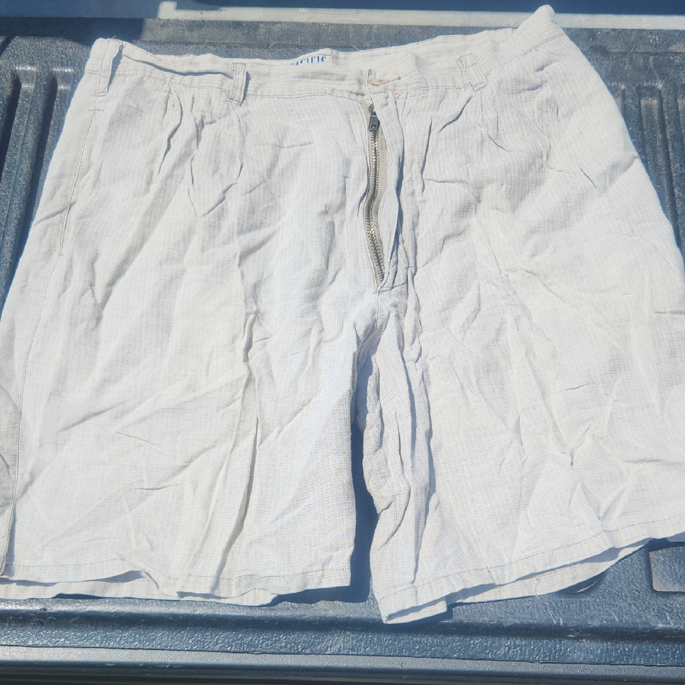 Men's Pacific Scene Beige Stripe Shorts Size 34